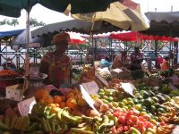 France d'Outre-Mer Guadeloupe, Marché antillais