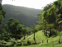 France d'Outre-Mer Martinique, Jardin de Balata en Martinique